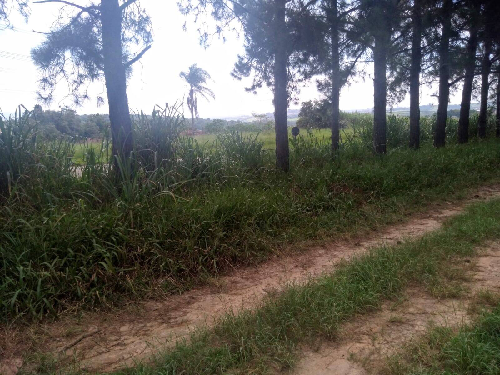 #520 - Chácara para Venda em Sorocaba - SP