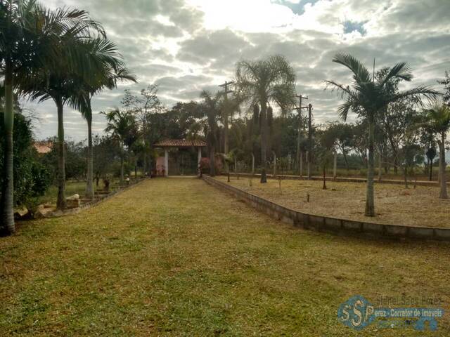 Chácara para Venda em Itapetininga - 4